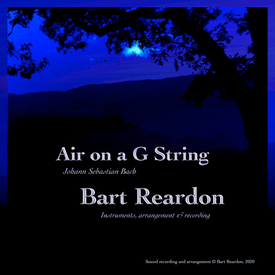 That Crazy Cat by Bart Reardon