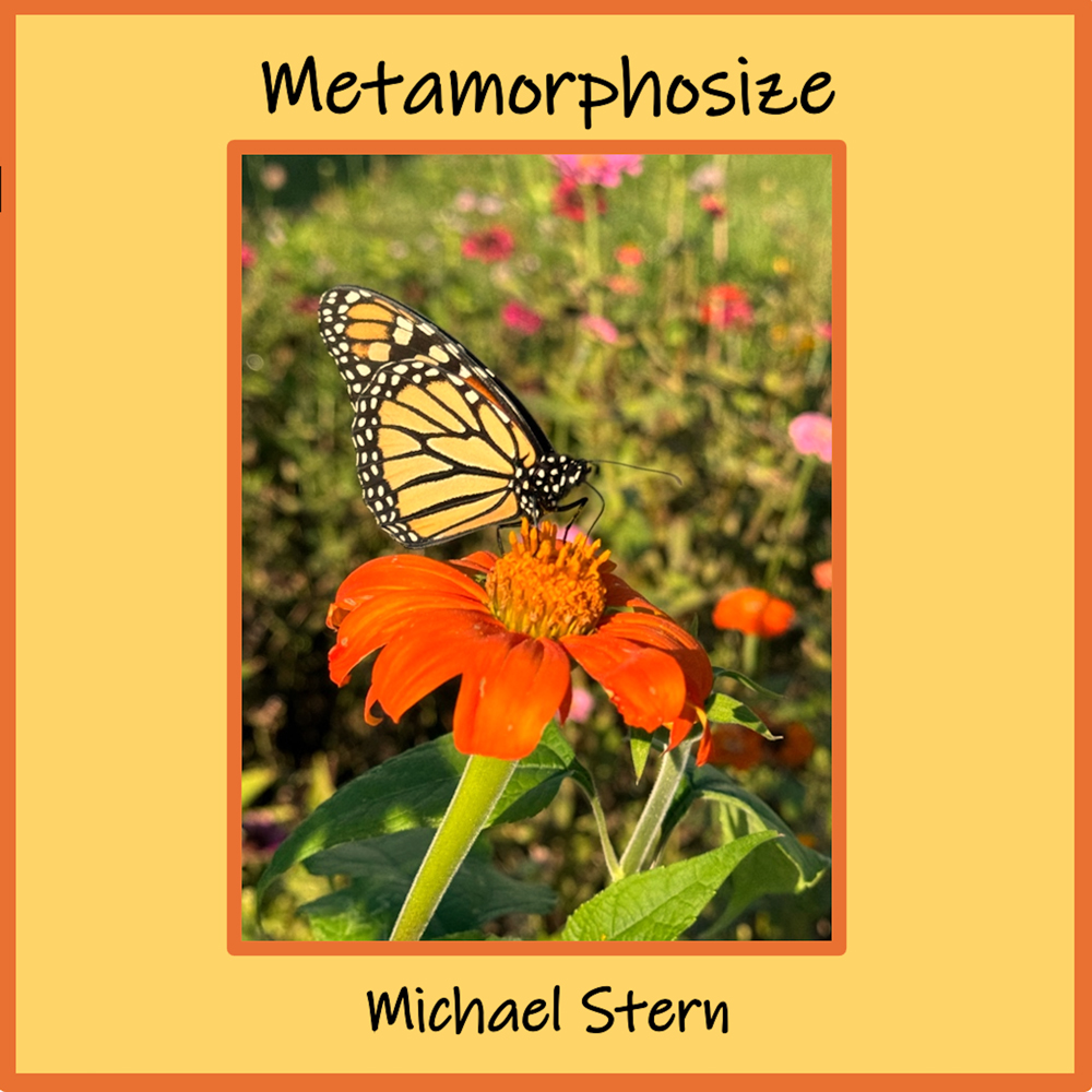 Metamorphosize by Michael Stern